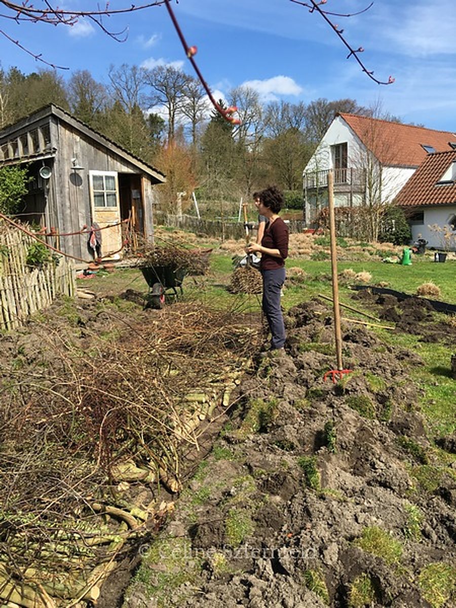 Céline Szternfeld dans un jardin en création
