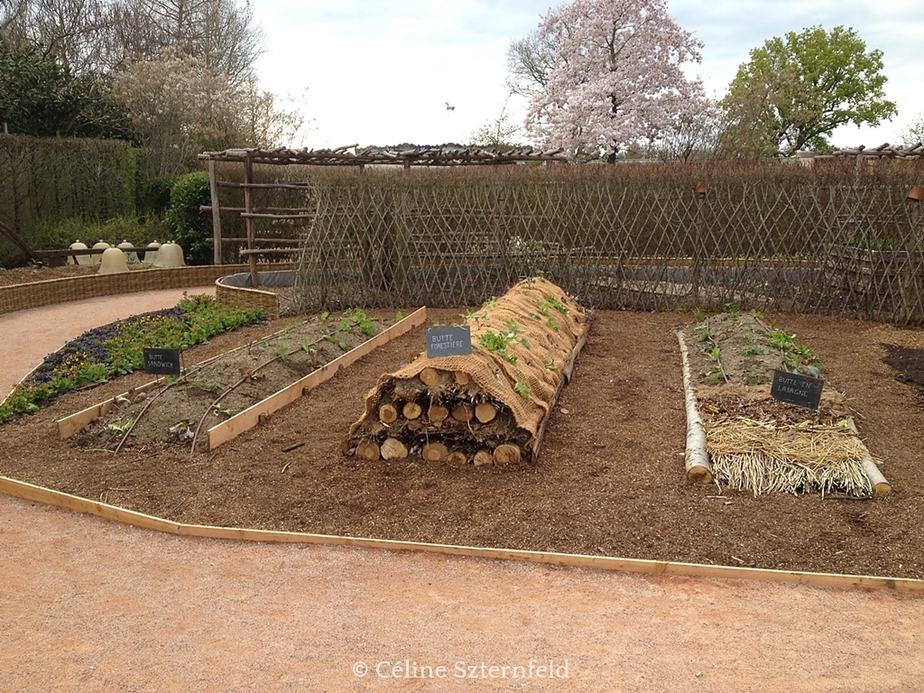 Planches et buttes de bois