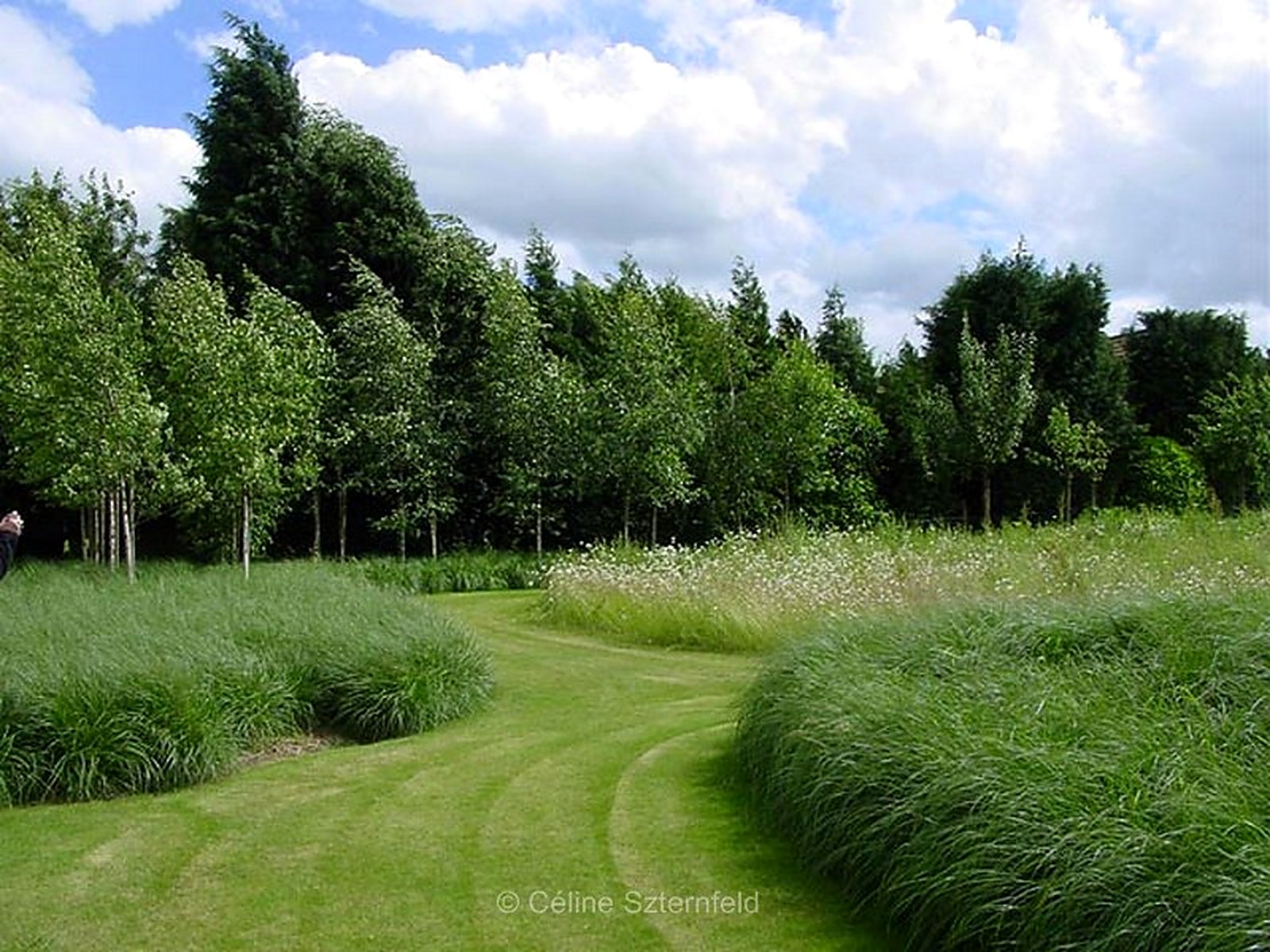 Jardin naturel