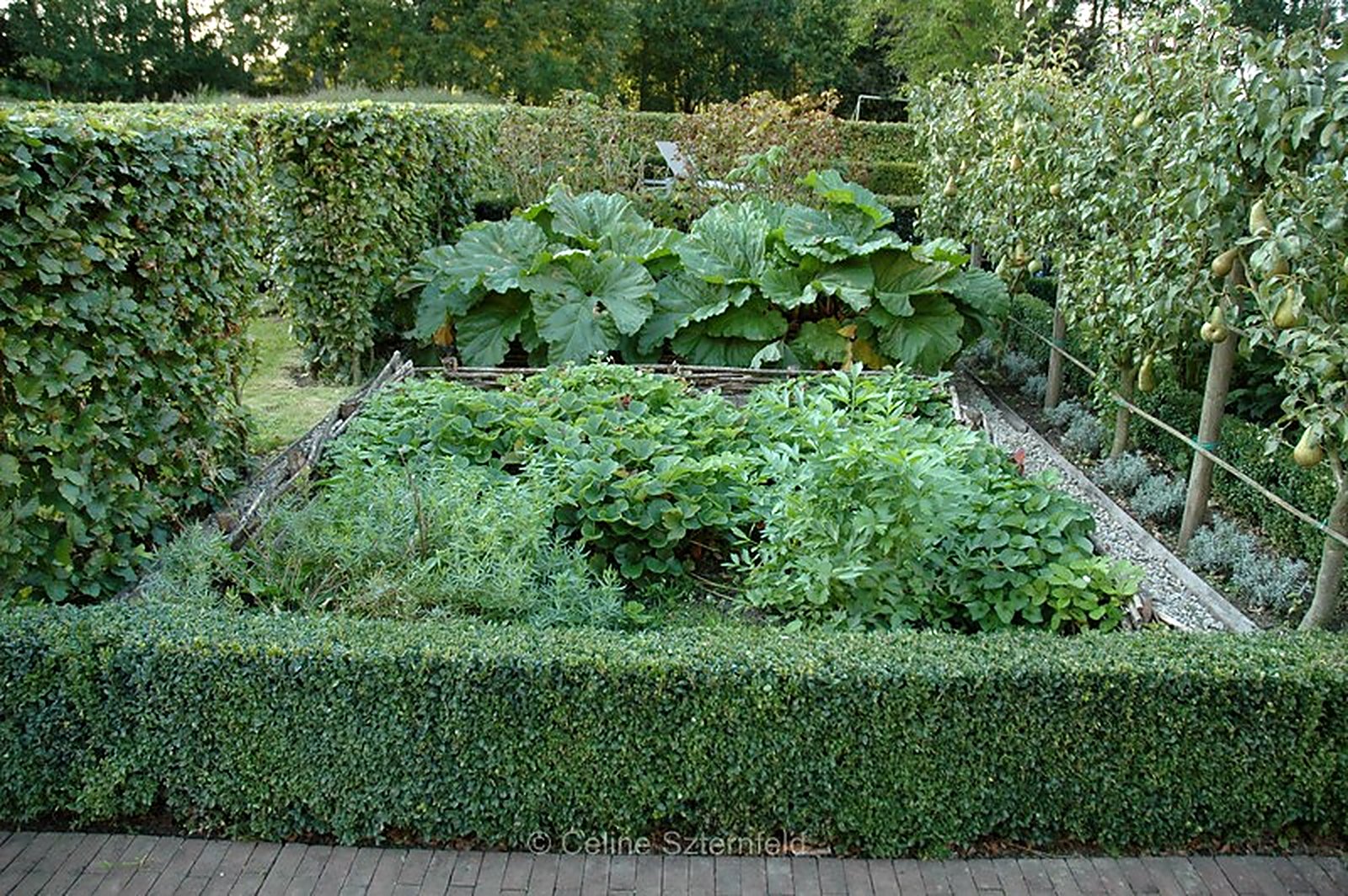 Jardin nourricier