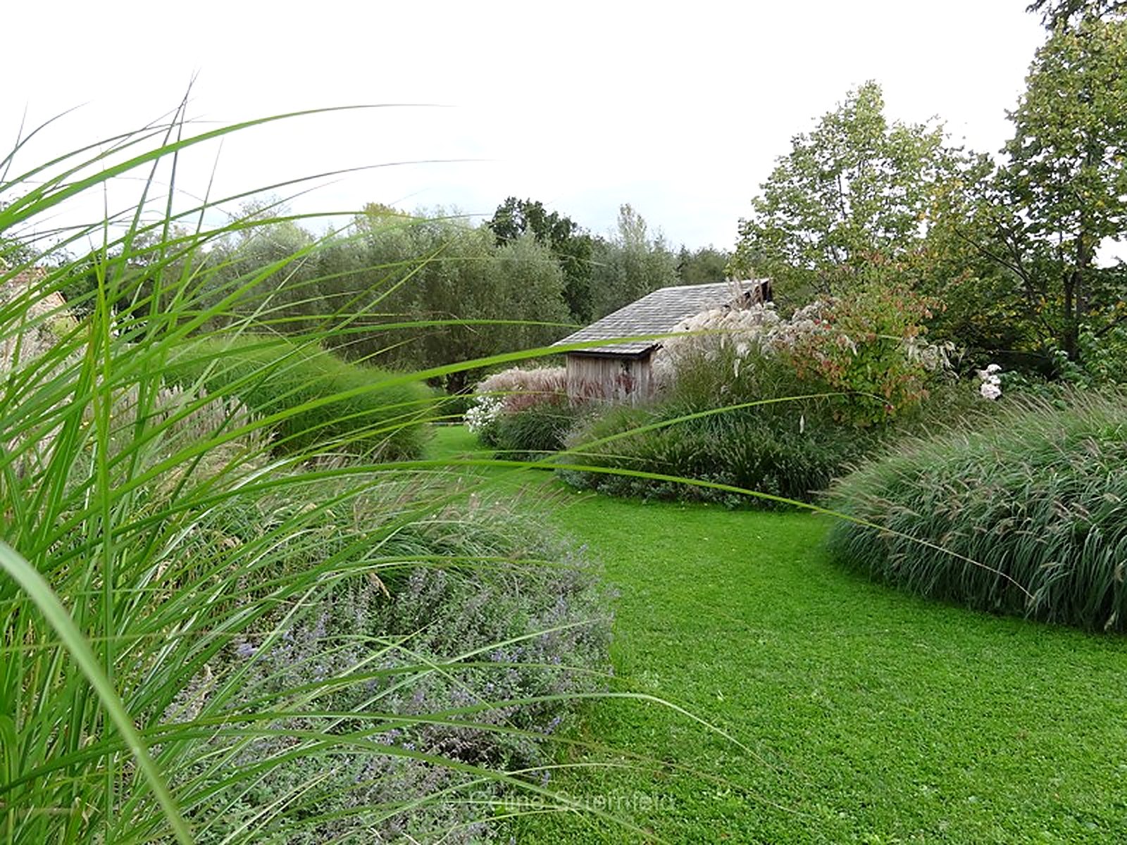 Jardin de campagne